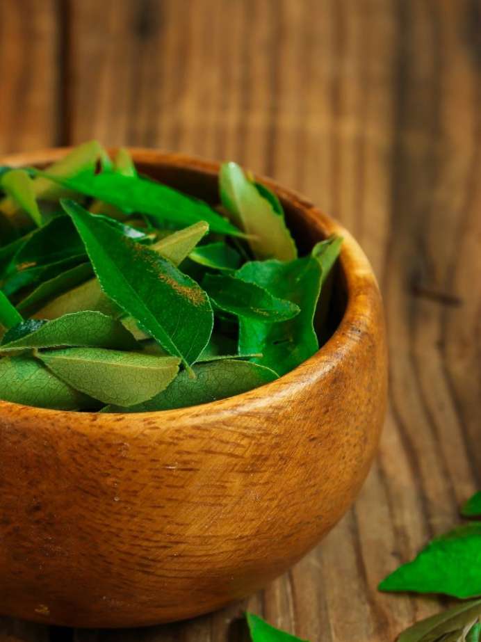 Top 5 Benefits Of Chewing Curry Leaves On An Empty Stomach | Onlymyhealth