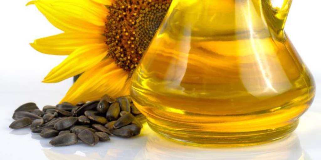Sunflower Seed Oil For Thick Hair Growth Onlymyhealth
