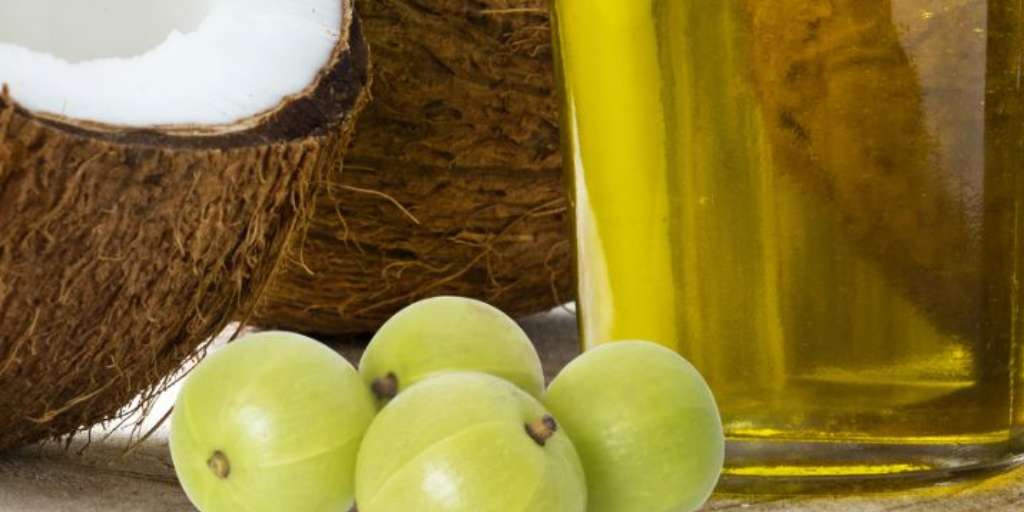 DIY Oil Amla And Coconut Oil For Hair Growth Onlymyhealth