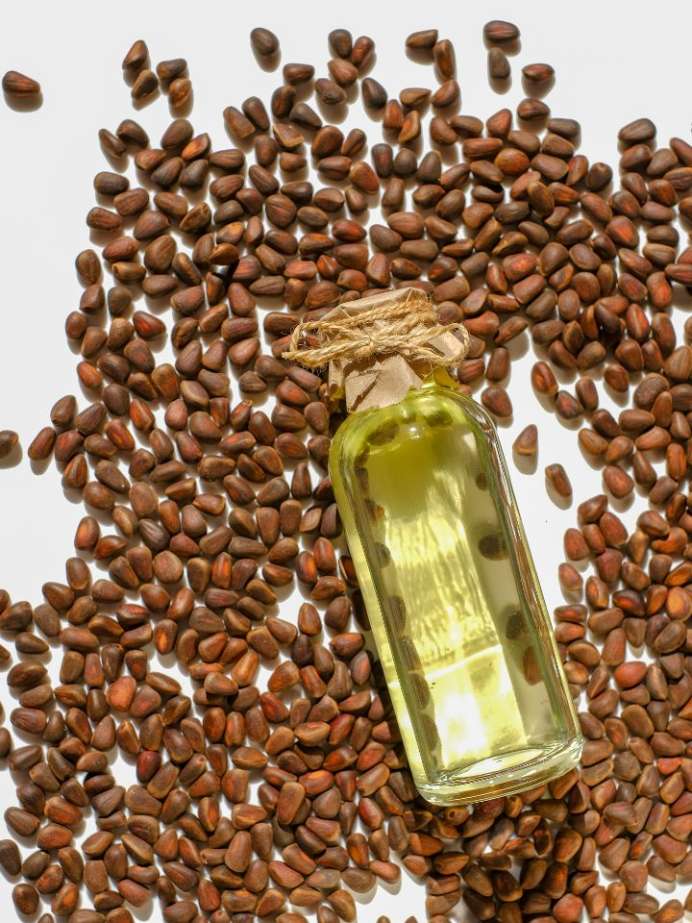 How To Use Pine Nut Oil For Hair Growth Onlymyhealth how-to-use-pine-nut-oil-for-hair-growth-onlymyhealth
