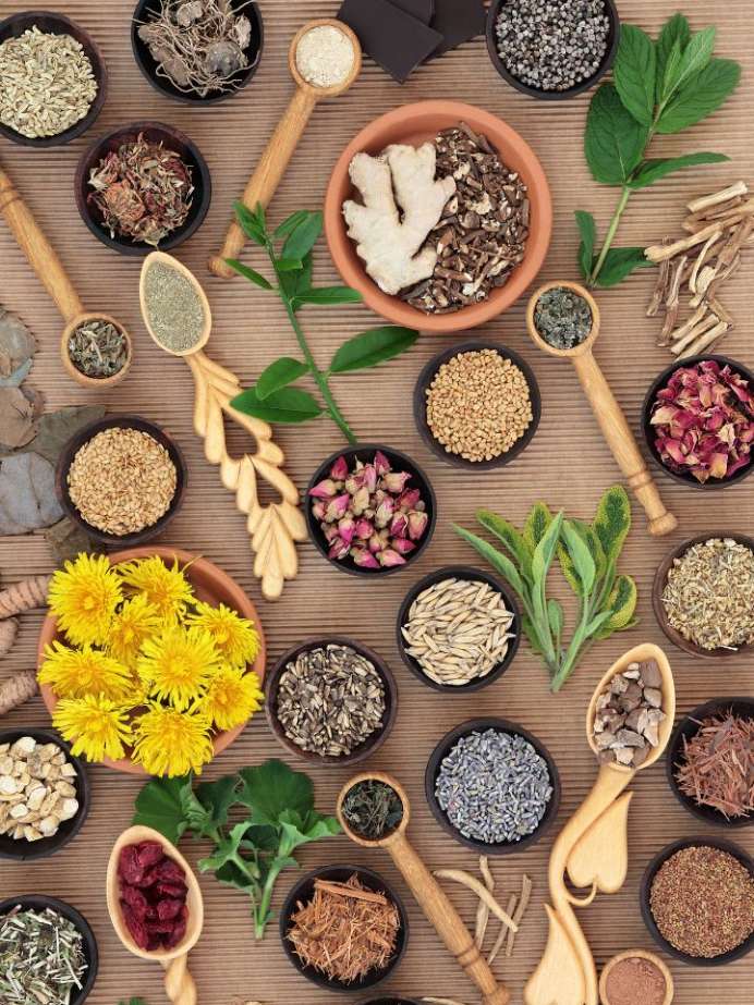 8 Indian Herbs For Women's Health and Wellness