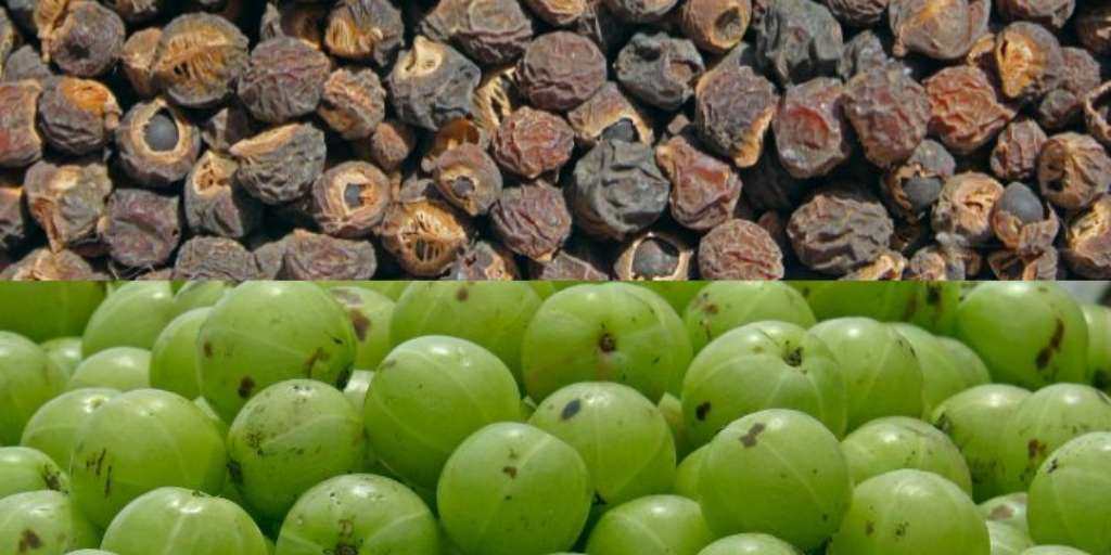 How To Make Amla Reetha Shikakai Hair Mask At Home Onlymyhealth