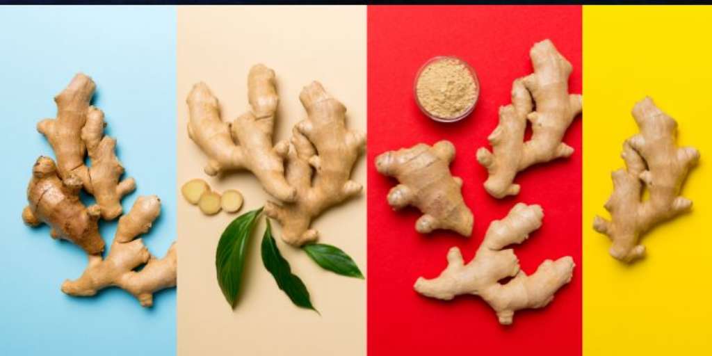 dry-ginger-vs-fresh-ginger-which-is-the-best-pick-for-winter