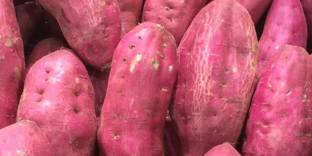 7 Unique Sweet Potato Recipes To Try For Winter Dinner | Onlymyhealth