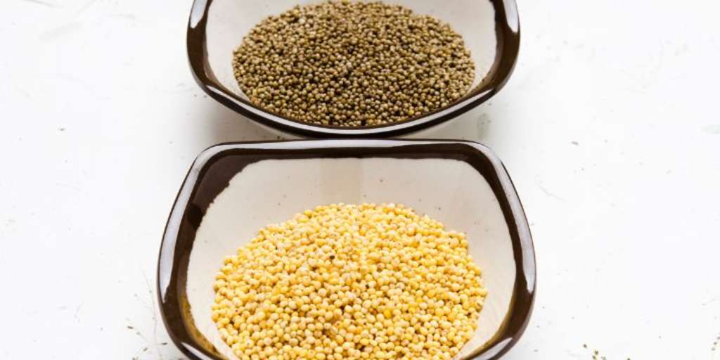 Top 5 Miracle Millets For Diabetes Onlymyhealth