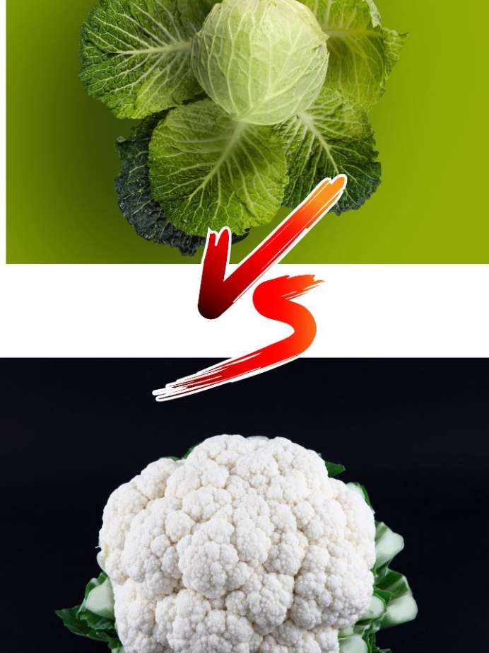 Which Is More Healthier Cauliflower Or Cabbage?