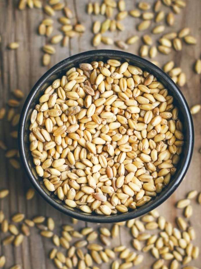 Diabetes 5 Health Benefits Of Drinking Barley Water Onlymyhealth