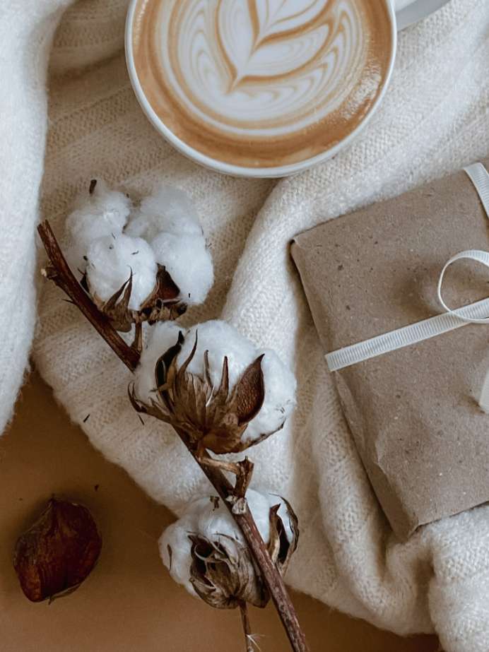 Is Coffee Good For Your Gut Health?