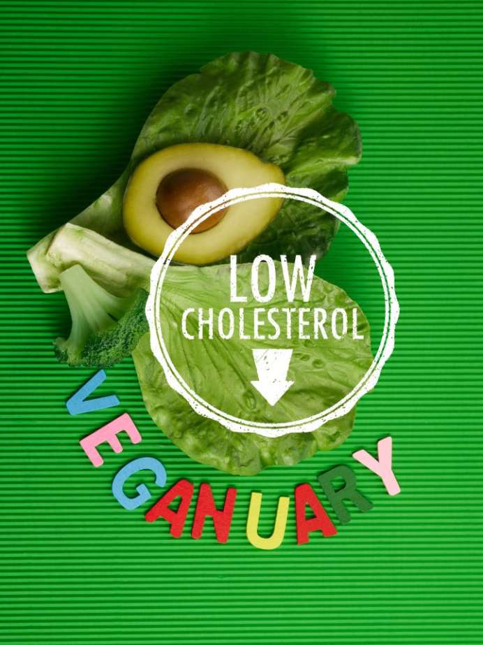 Best Vegan Diet To Lower Cholesterol Levels Faster Onlymyhealth