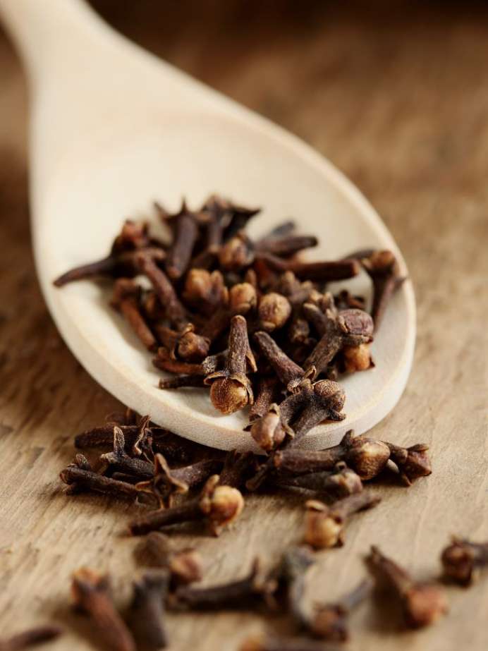 Why You Should Add Clove In Your Winter Diet Onlymyhealth