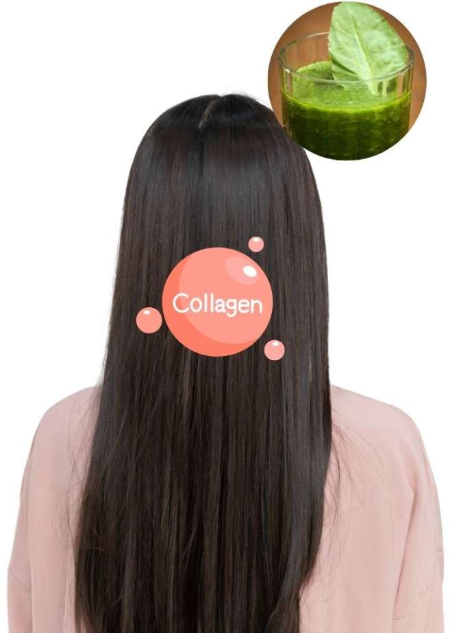 How To Make Spinach Juice To Boost Collagen For Hair