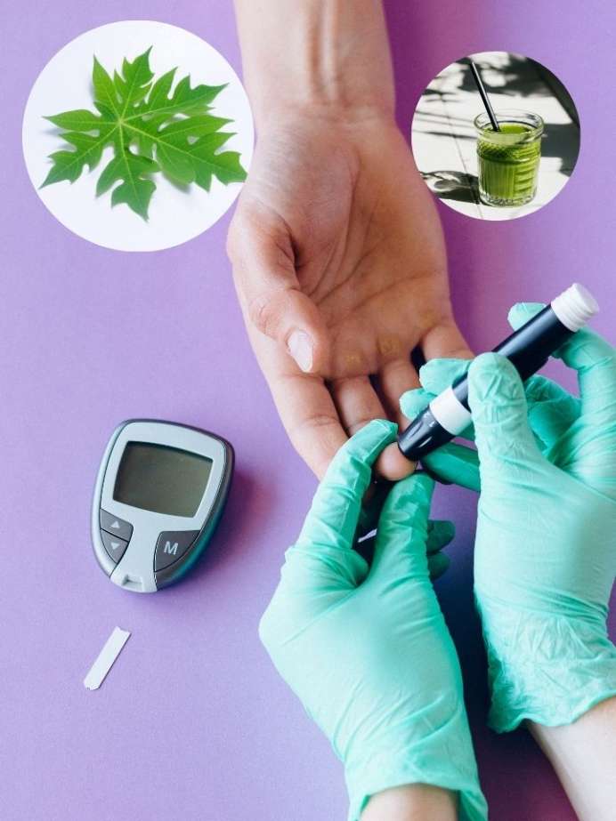 How To Make Papaya Leaf Juice For Diabetes Onlymyhealth