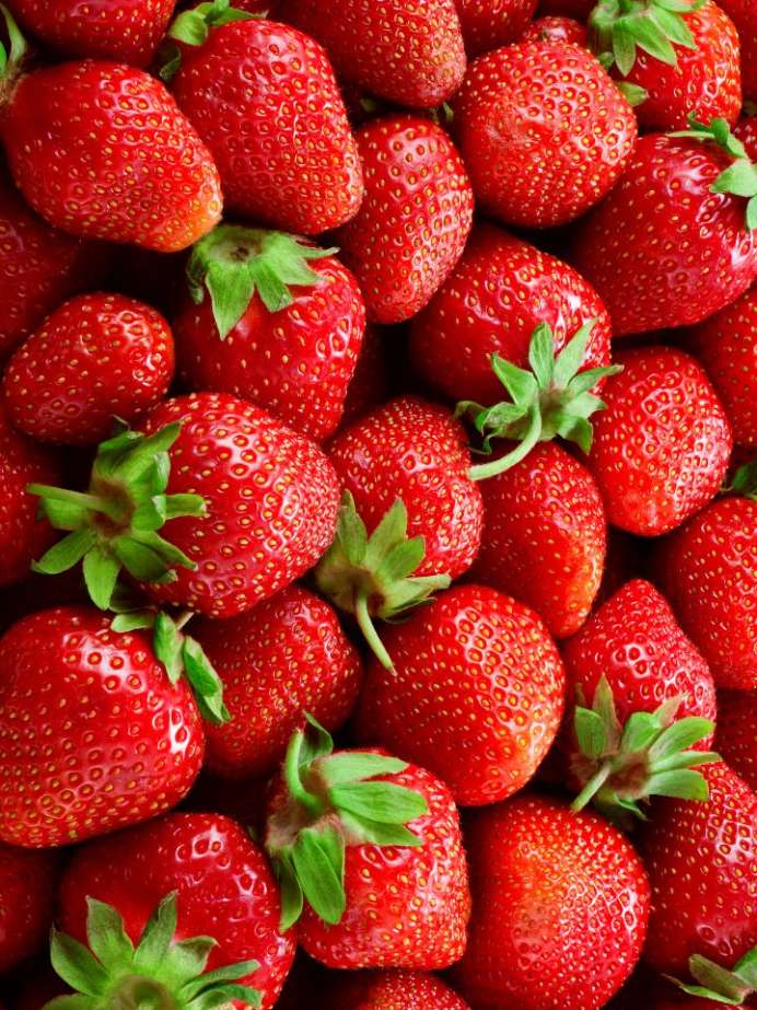 Why Should You Eat Strawberries Every Day? Onlymyhealth