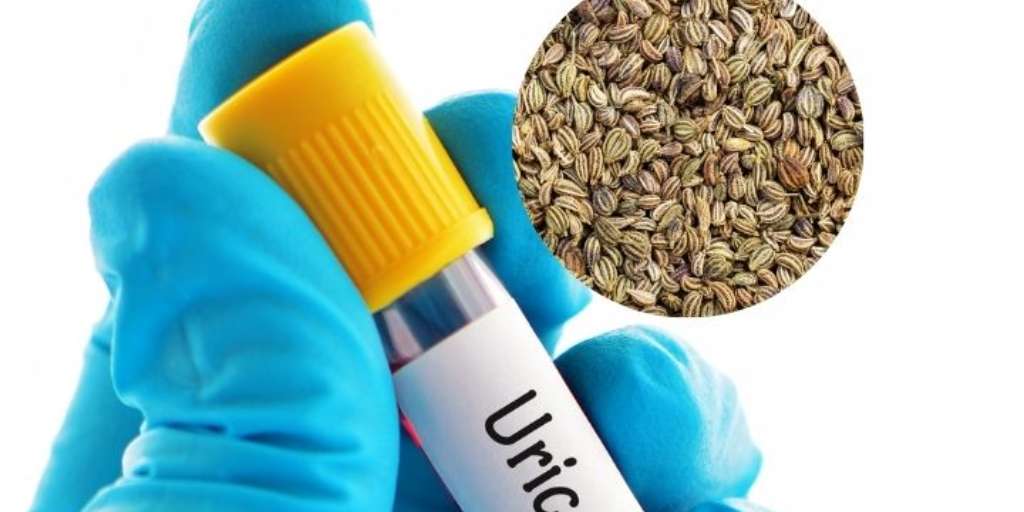 How To Consume Ajwain For Uric Acid