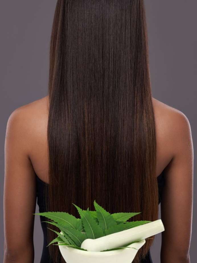 How To Make Neem Oil To Prevent hair Fall In Winter Onlymyhealth