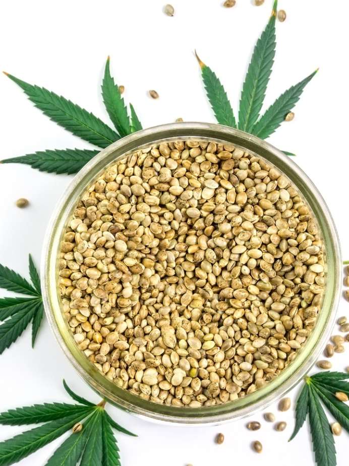 how-hemp-seeds-are-beneficial-for-your-hair-growth-onlymyhealth