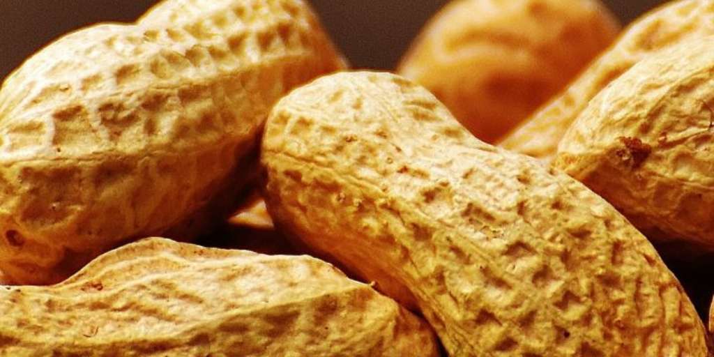 benefits-of-eating-peanuts-and-jaggery-in-the-morning