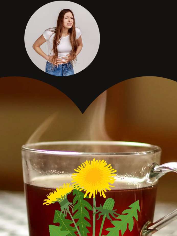 Is Roasted Dandelion Root Tea Good For Constipation?