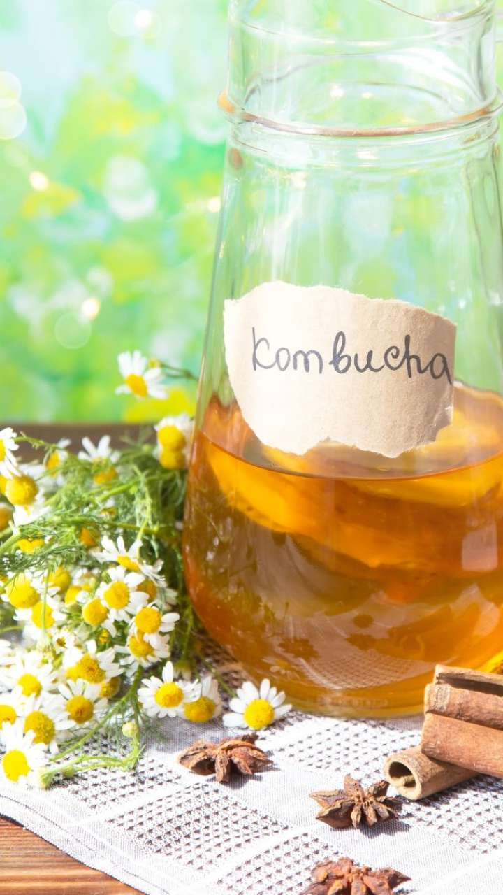 How To Make Kambucha Tea At Home?