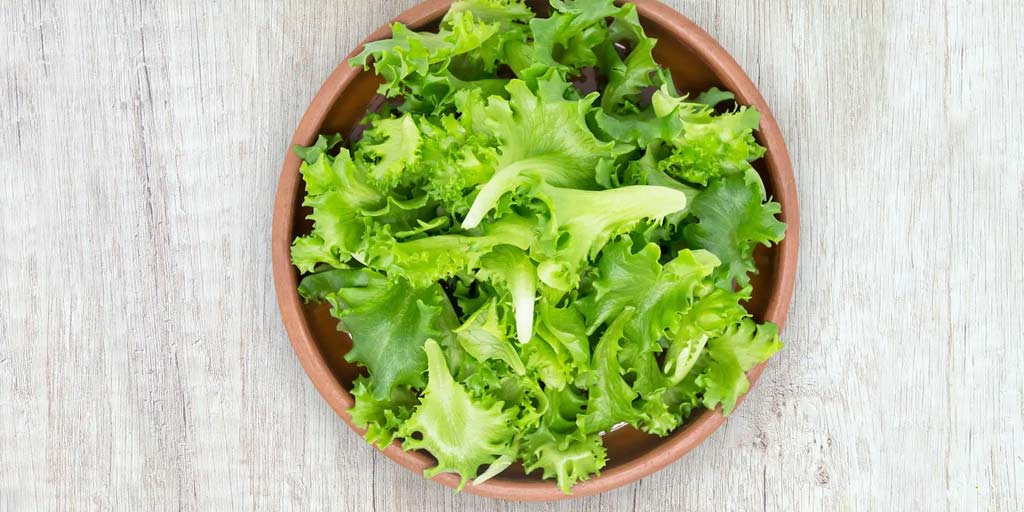 सलाद के पत्तों के 9 अद्भुत फायदे