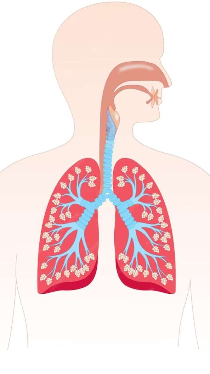 Top Yoga Asanas for Respiratory Health: Strengthen Your Lungs with ...