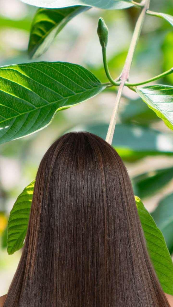 How Are Guava Leaves Beneficial For Your Hair?