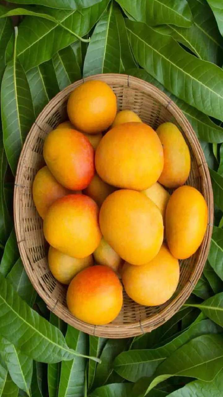 Can We Eat Mangoes On An Empty Stomach?