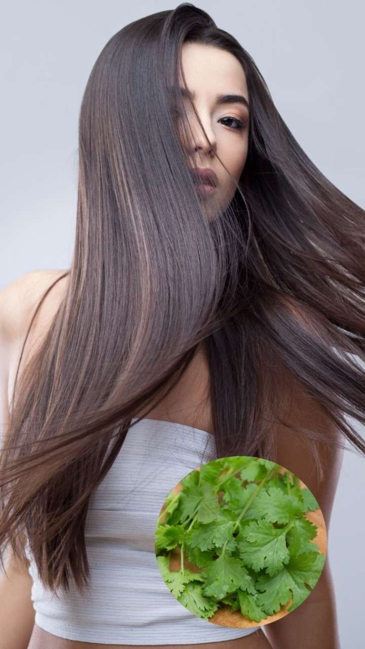 धनिया के पत्तों को ऐसे लगाएं, बाल होंगे लंबे