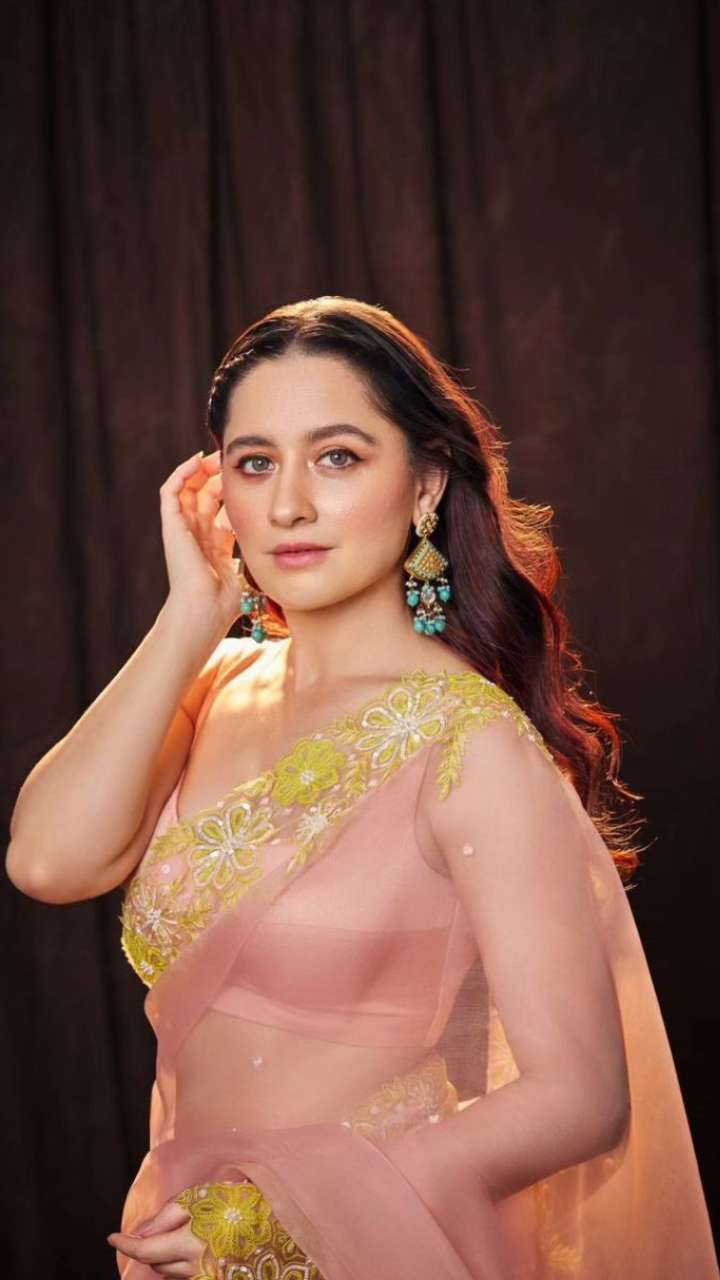 Sanjeeda Sheikh's Beauty Secrets For Flawless Glow!