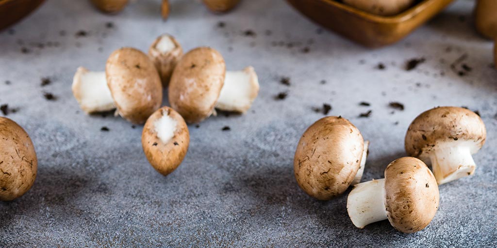 Mushroom Benefit For Skin