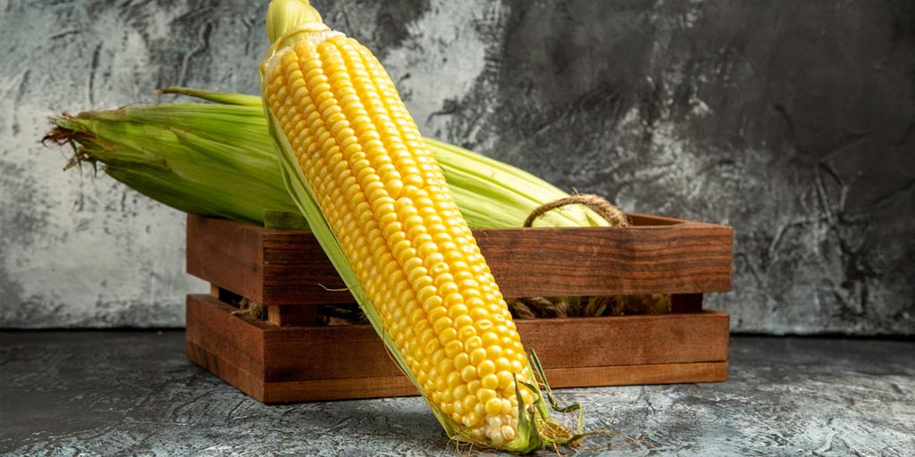 yellow-corn-benefits-for-digestion-diabetes-weight-gain