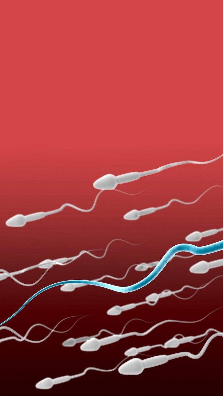 Home Remedies to Increase Sperm Count