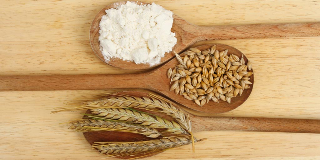 जौ का आटा खाने से मिलते हैं ये लाभ