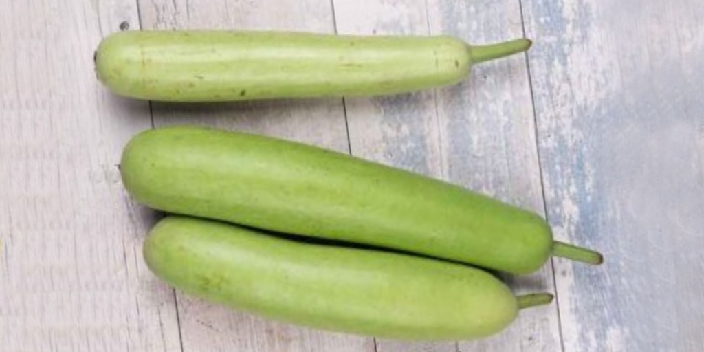 प्रेग्नेंसी में खाएं लौकी, जानें 5 फायदे