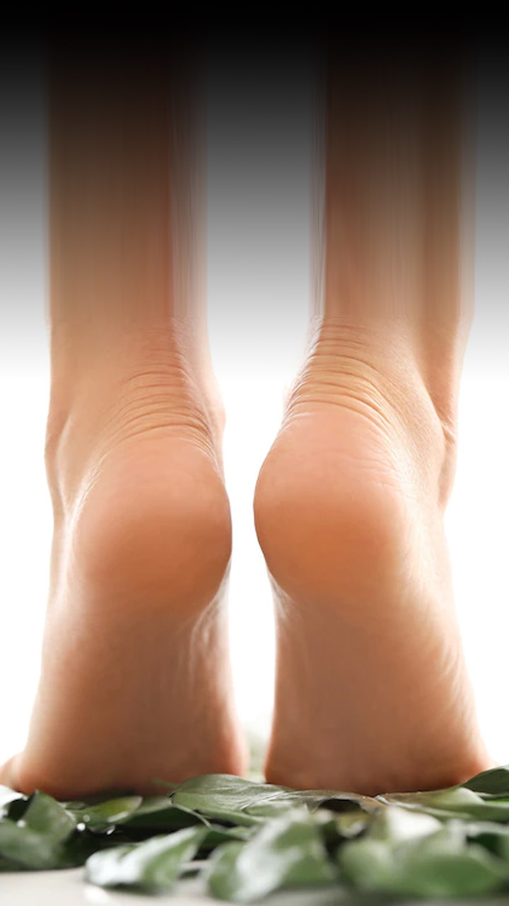 Codream Moisturizing Heel Gel Socks: Heal Dry Cracked Heel Treatment  Overnight Pedicure Foot Spa Sock | 2 Pairs Soft Silicone Moisturizer Sleeve  to Repair Callus Rough Heel : Amazon.in: Health & Personal Care