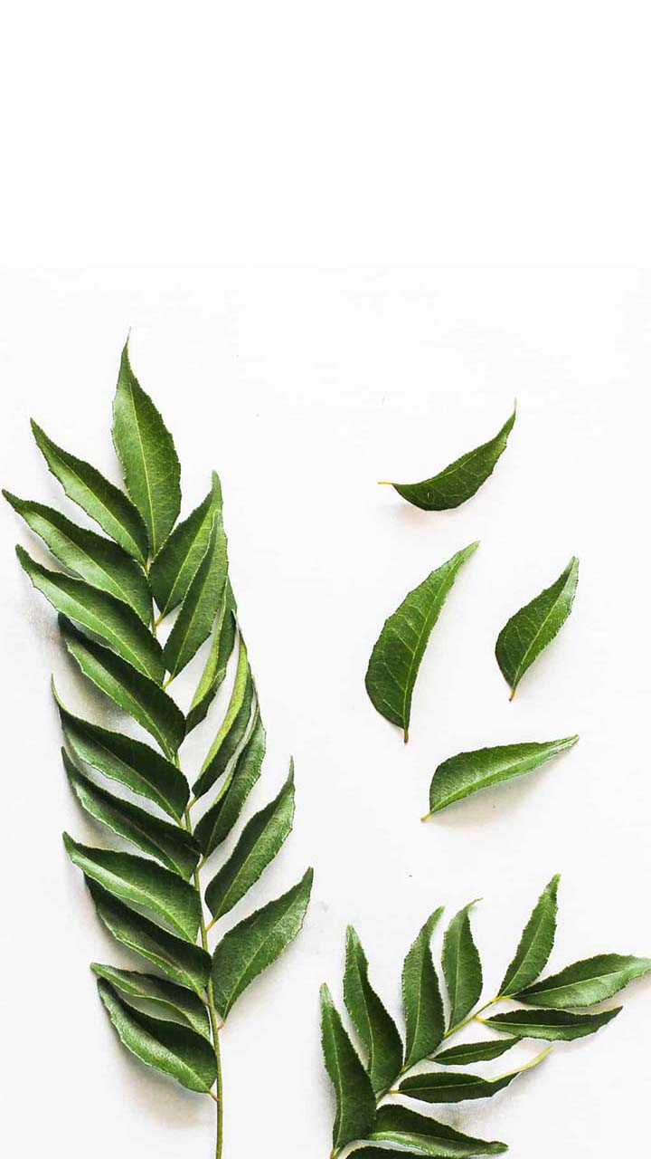 करी पत्ते की चाय पीने के फायदे