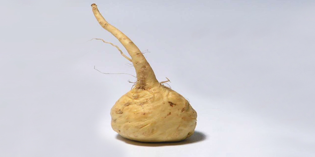 माका रूट खाने के फायदे