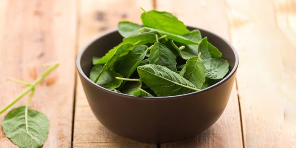 सर्दियों में रोज सुबह तुलसी के पत्ते खाने के फायदे