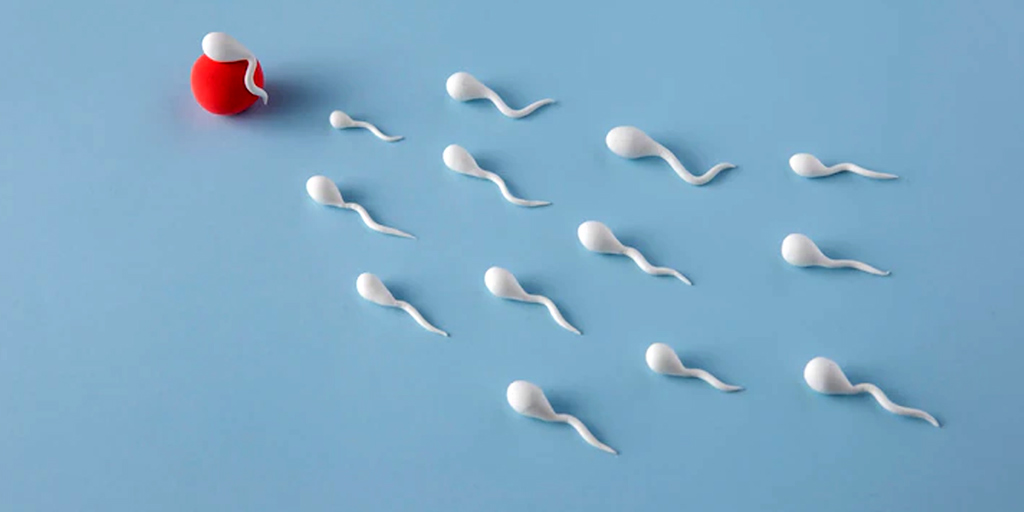 Foods To Improve Sperm Mobility foods-to-improve-sperm-mobility