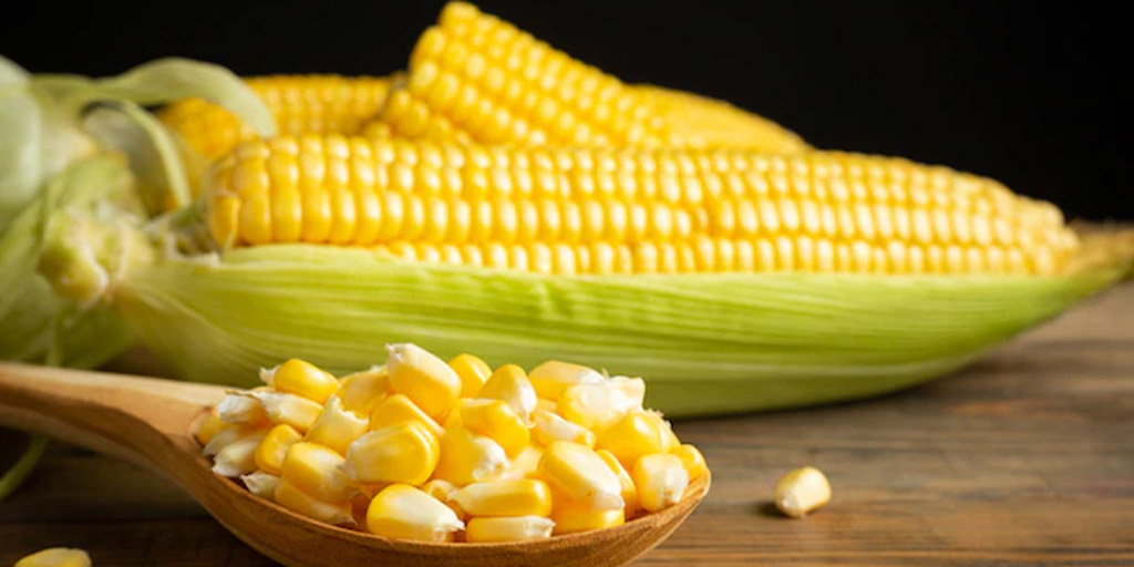 sweet corn health benefits