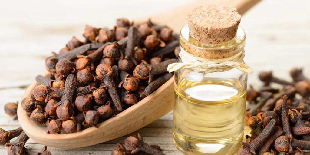 Benefits of clove oil