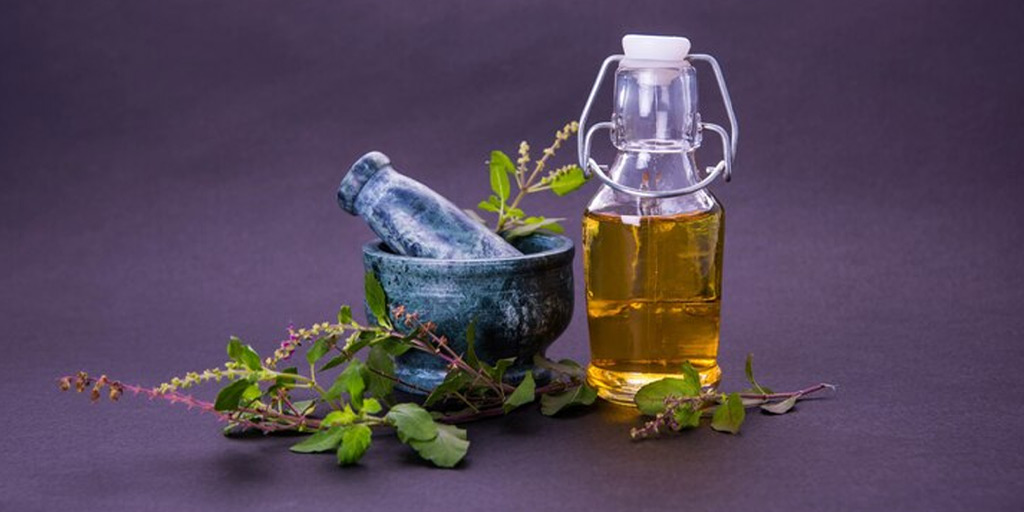 Benefits of Basil Oil