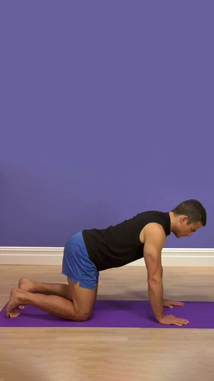 5 Reasons Why You Should Practice Cow Pose Daily