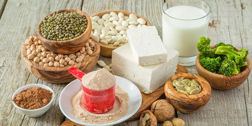 vegetarian protein for weight loss