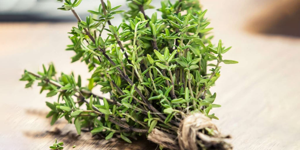 Health benefits of thyme