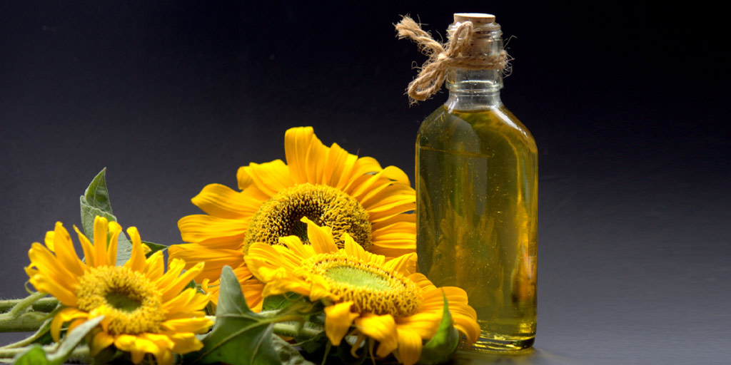 Sunflower Oil Health Benefits