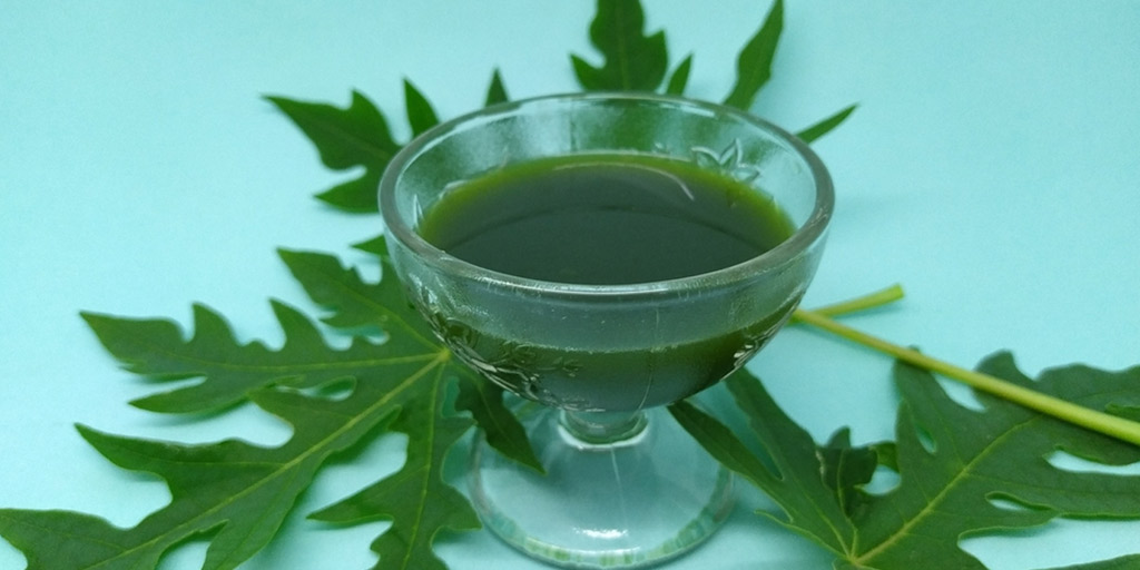 Benefits Of Papaya leaf juice