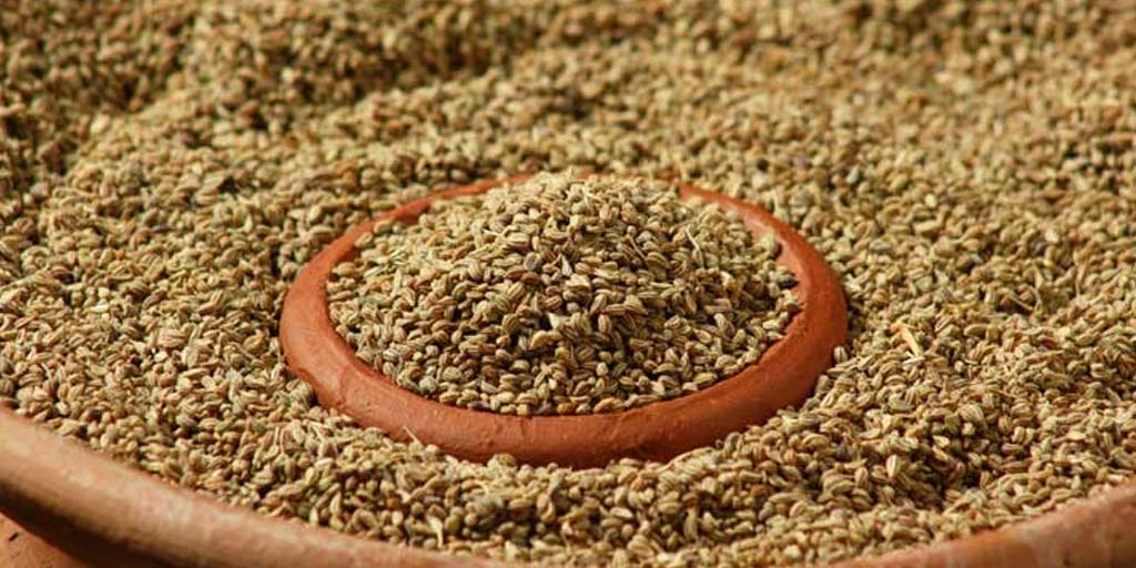 दूध में अजवाइन मिलाकर पीने के फायदे