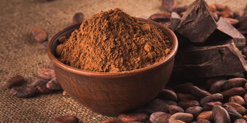 कोको पाउडर लगाने से बालों को मिलते हैं ये 5 फायदे