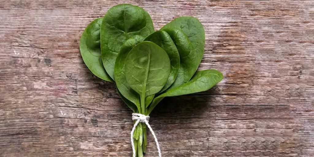 Spinach Of Health Benefits